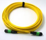 Armored MPO-MPO SM Fiber Patch Cord