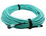 Armored 24F MPO-MPO OM4 Fiber Patch Cord