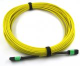 Round Riser 12F MPO/MTP Cable Assemblies